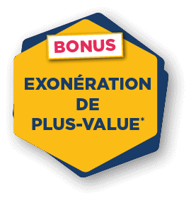 Exonération de plus-value*