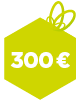 300 euros