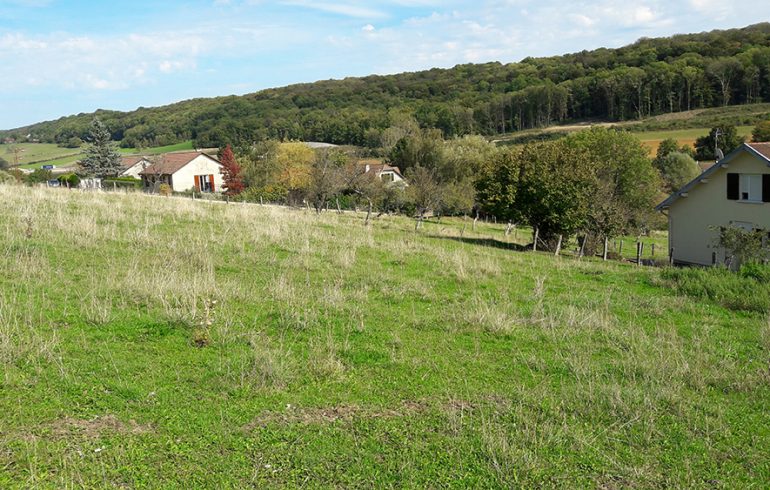 terrains a vendre miserey salines