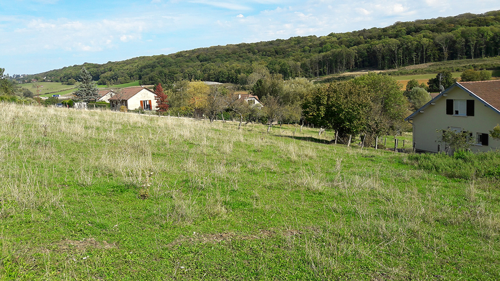 terrains a vendre miserey salines