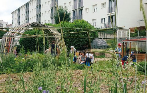 jardin partagé à Besançon