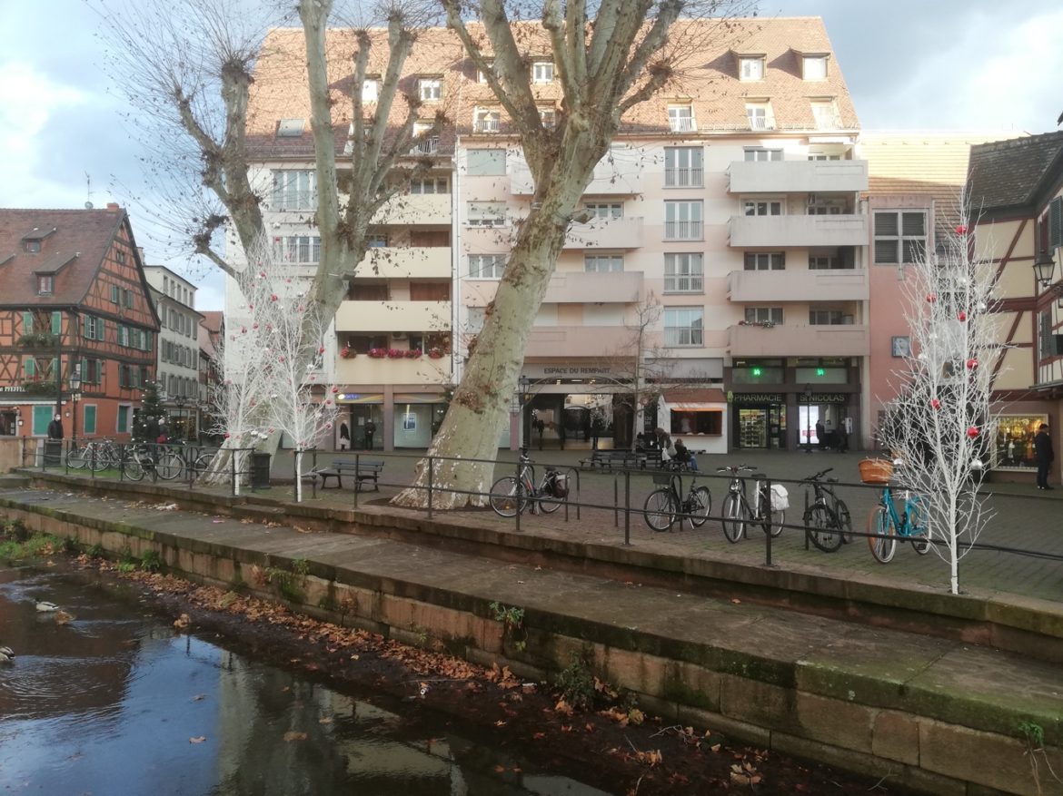 Réhabilitation de 10 appartements "Label Génération" à Colmar