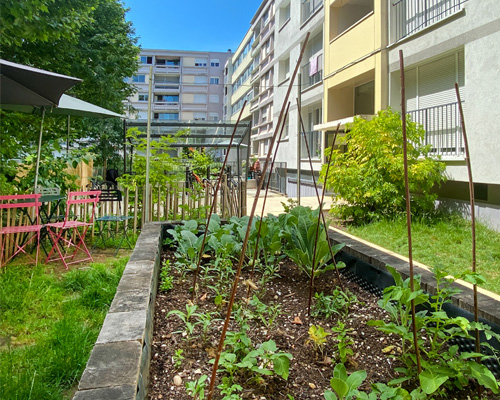 Jardins partagés rue Massenet à Montbéliard
