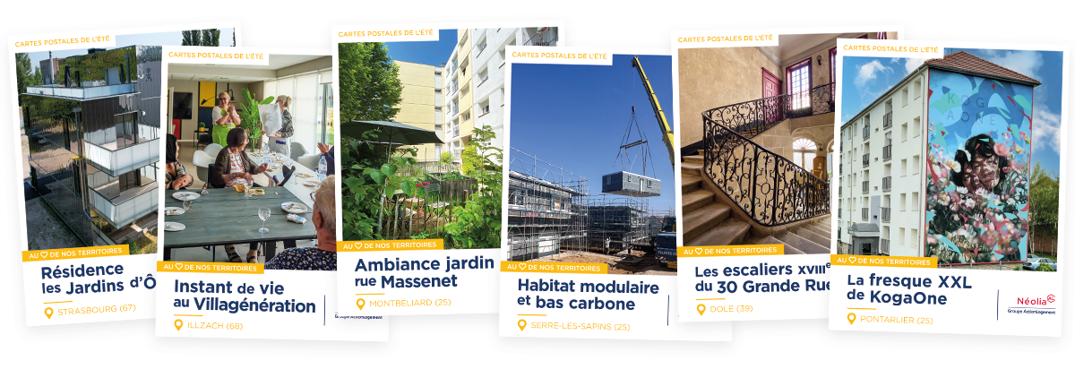 Les 6 cartes postales de l'été