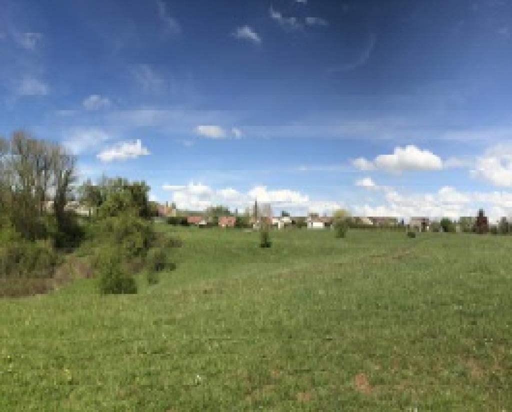 terrain