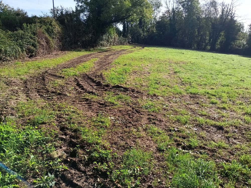 terrain